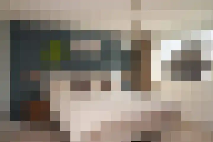 Deken van Dijkstraat 4 Schijndel thumbnail 20