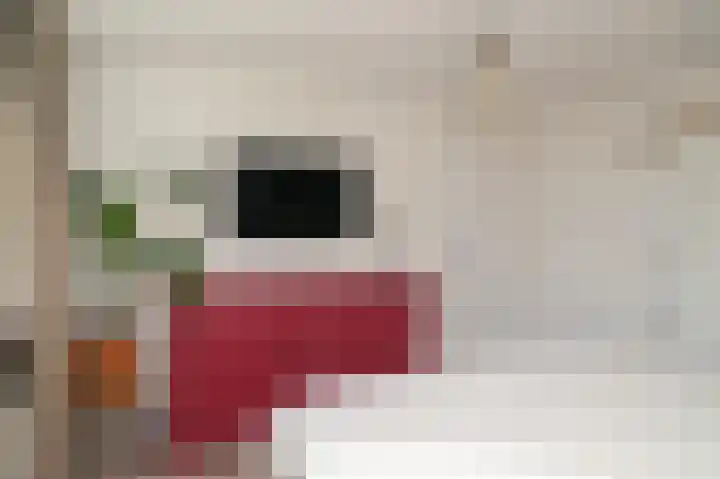 Deken van Dijkstraat 4 Schijndel thumbnail 21
