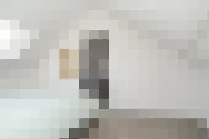 Deken van Dijkstraat 4 Schijndel thumbnail 28