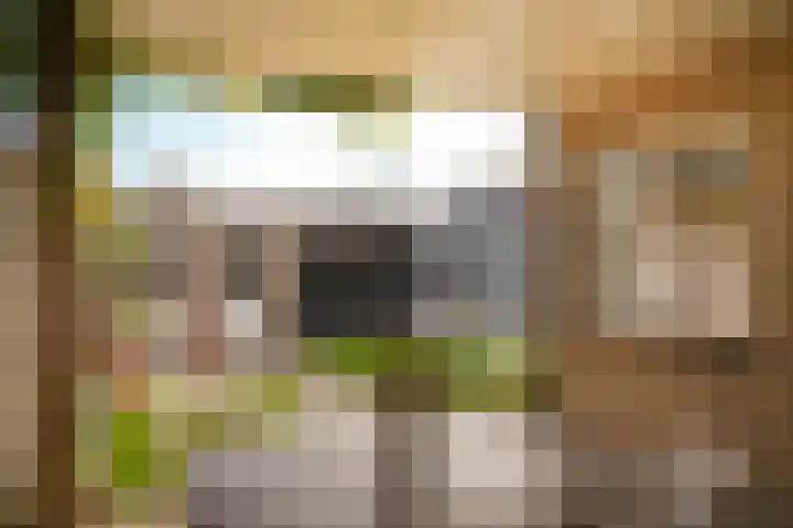 Deken van Dijkstraat 4 Schijndel thumbnail 30