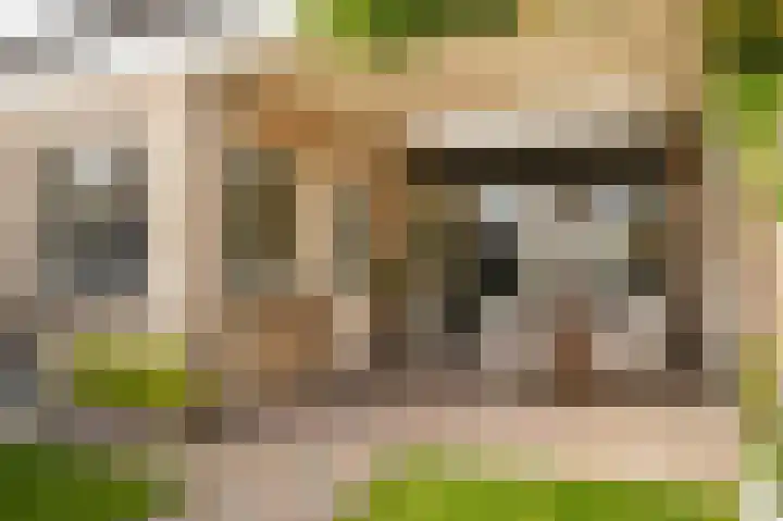 Deken van Dijkstraat 4 Schijndel thumbnail 33