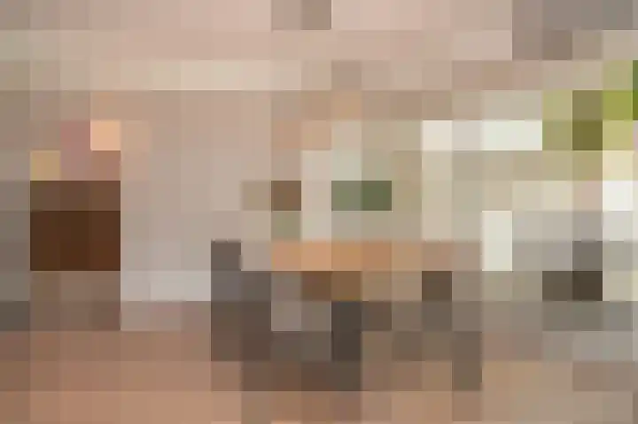 Deken van Dijkstraat 4 Schijndel thumbnail 4