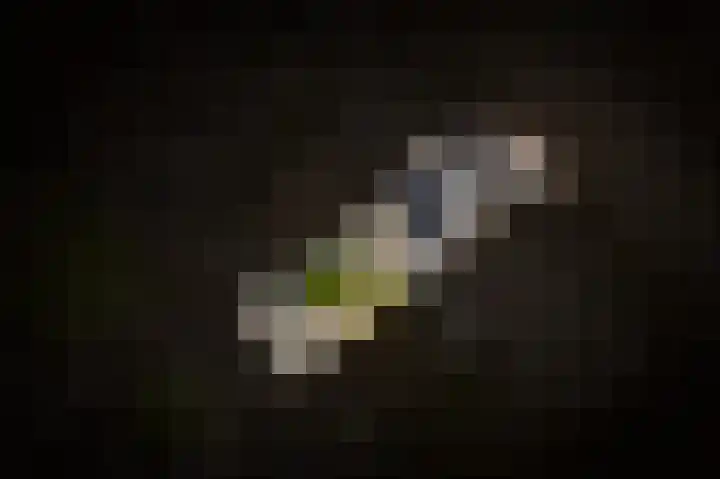 Deken van Dijkstraat 4 Schijndel thumbnail 41