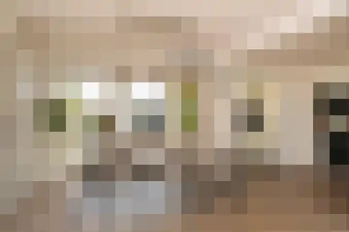 Deken van Dijkstraat 4 Schijndel thumbnail 6