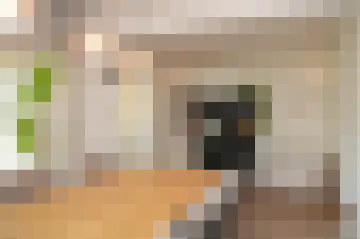 Deken van Dijkstraat 4 Schijndel thumbnail 7