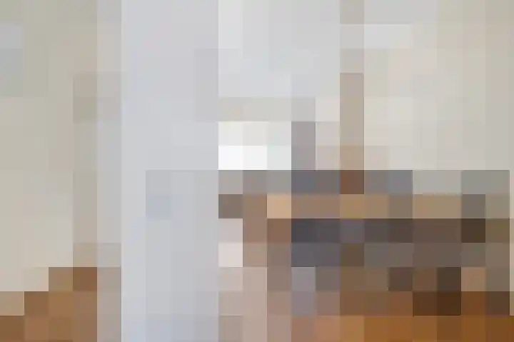 Deken van Dijkstraat 5 Schijndel thumbnail 11