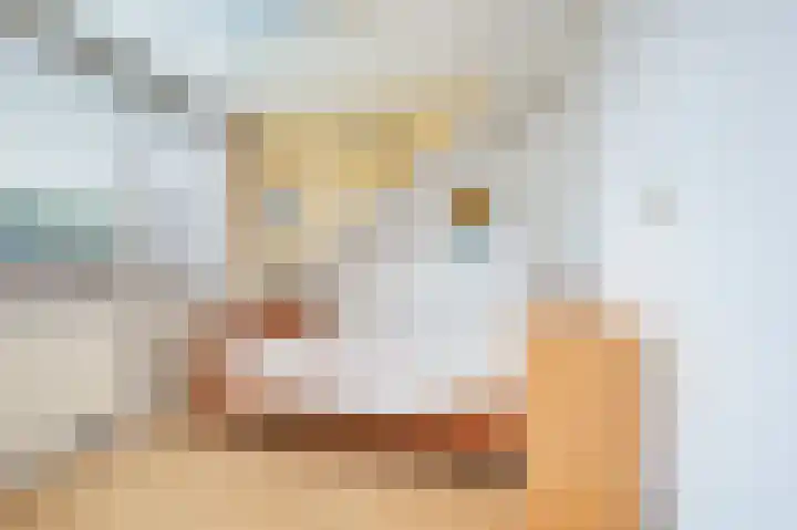 Deken van Dijkstraat 5 Schijndel thumbnail 26