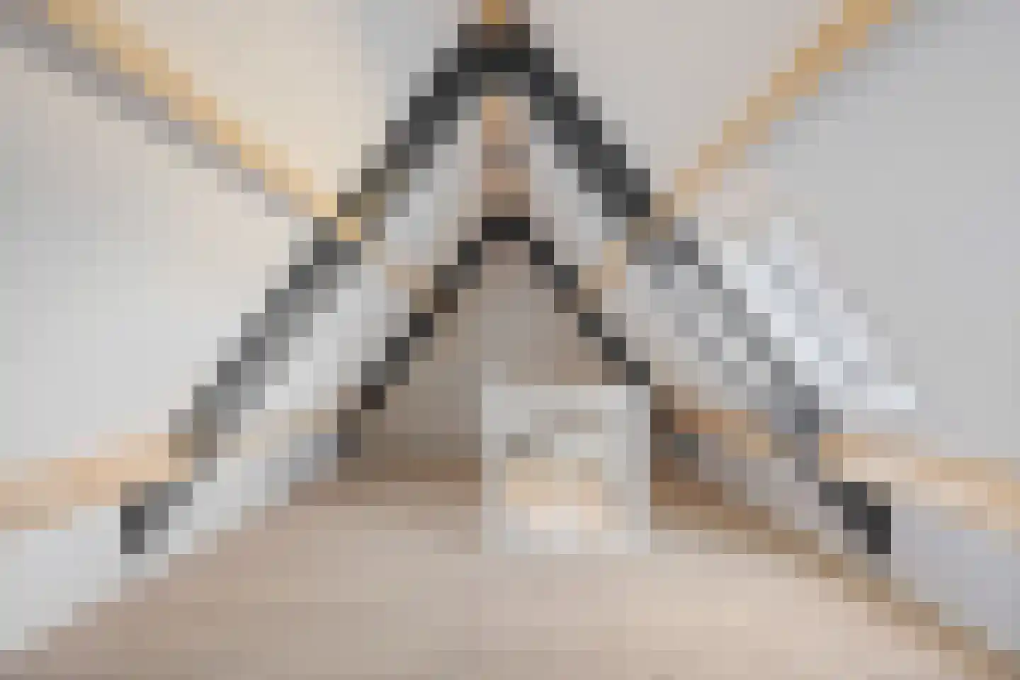 Deken van Erpstraat 7 L Sint-Oedenrode thumbnail 27