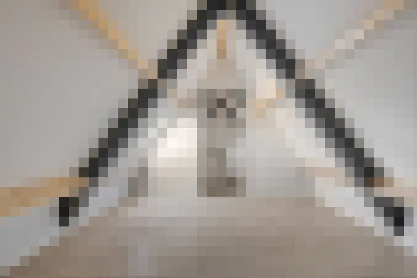 Deken van Erpstraat 7 L Sint-Oedenrode thumbnail 29