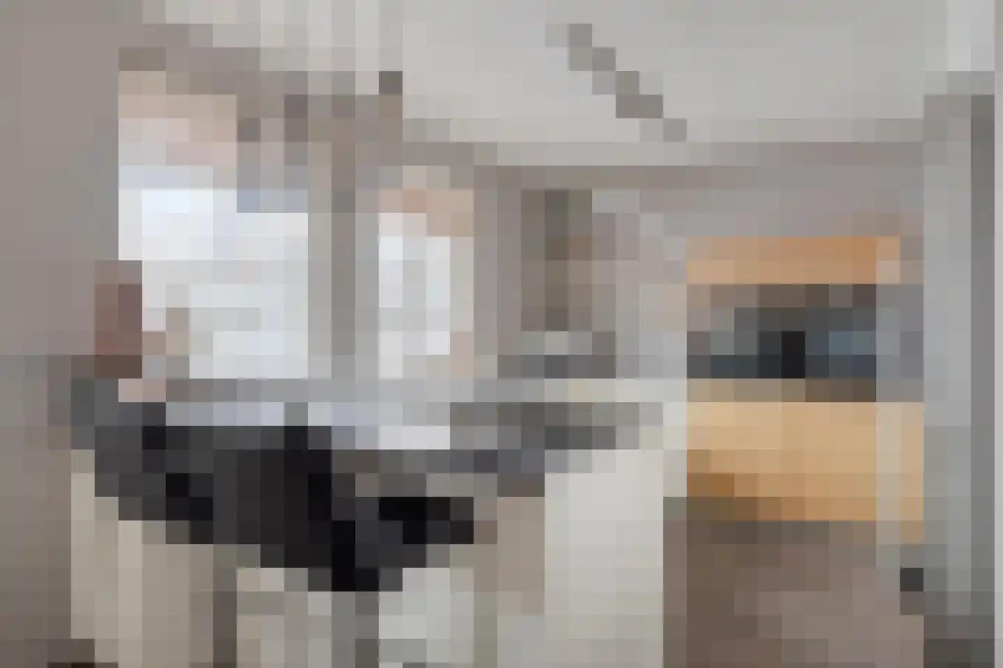 Deken van Miertstraat 21 Veghel thumbnail 13