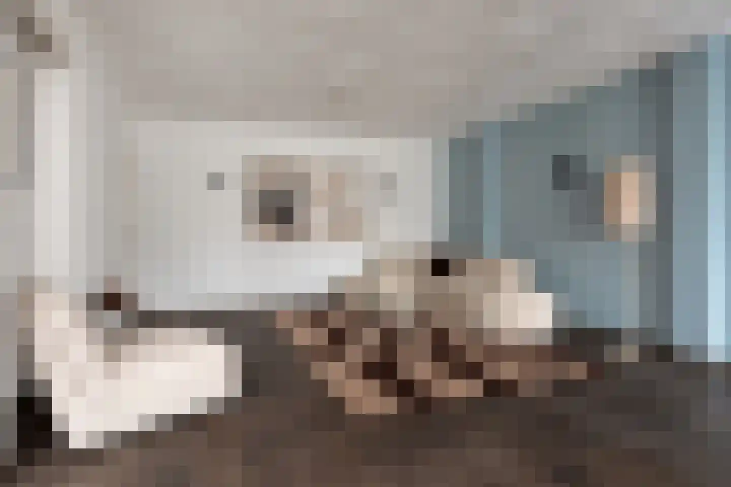 Deken van Miertstraat 21 Veghel thumbnail 20