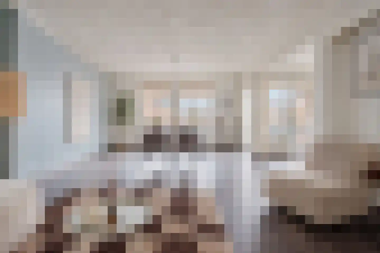 Deken van Miertstraat 21 Veghel thumbnail 21