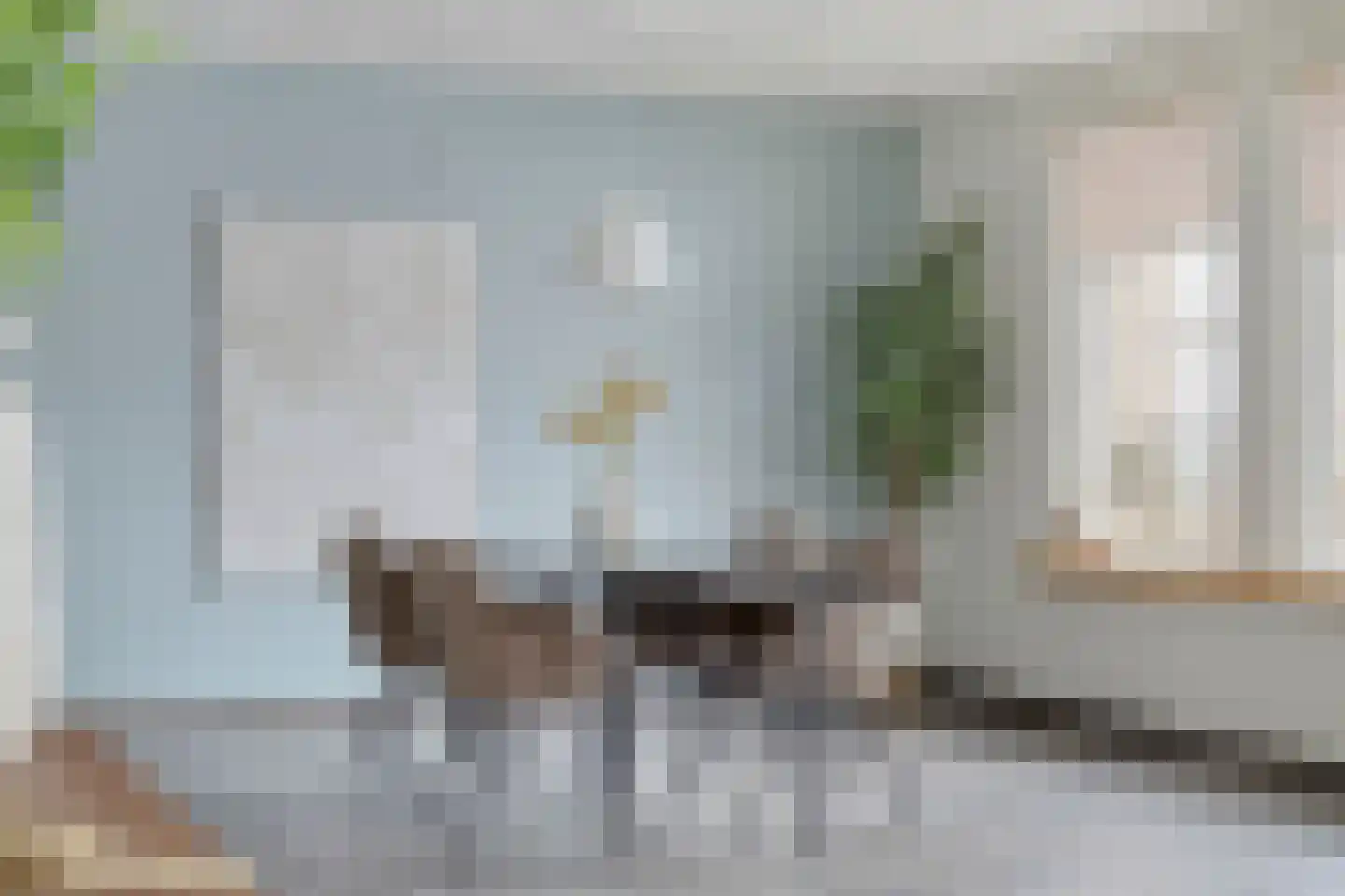 Deken van Miertstraat 21 Veghel thumbnail 22