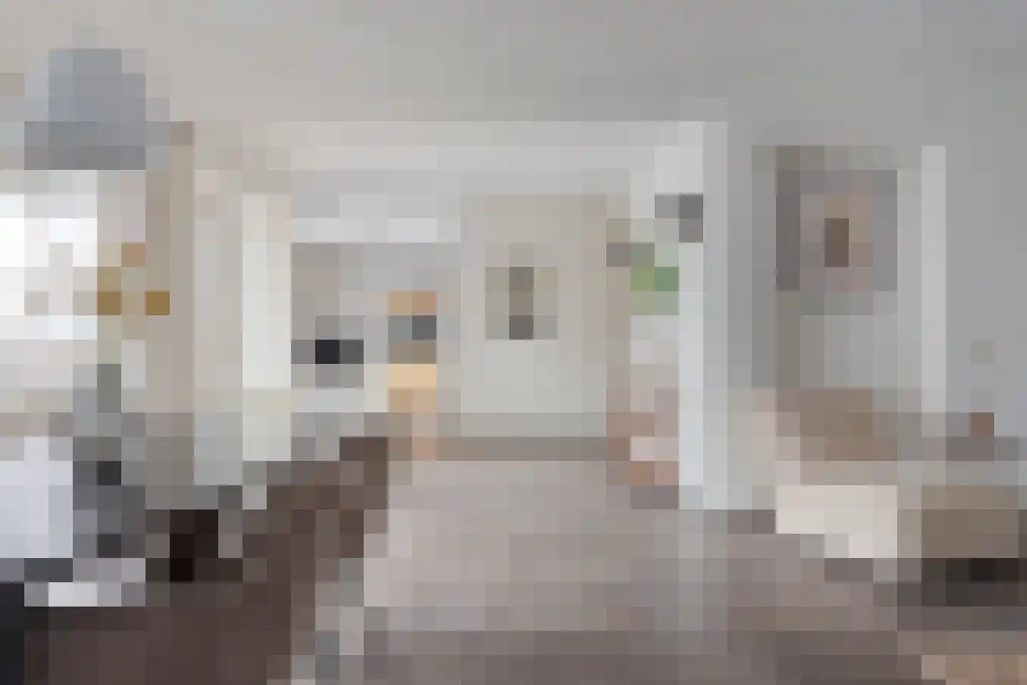 Deken van Miertstraat 21 Veghel thumbnail 23