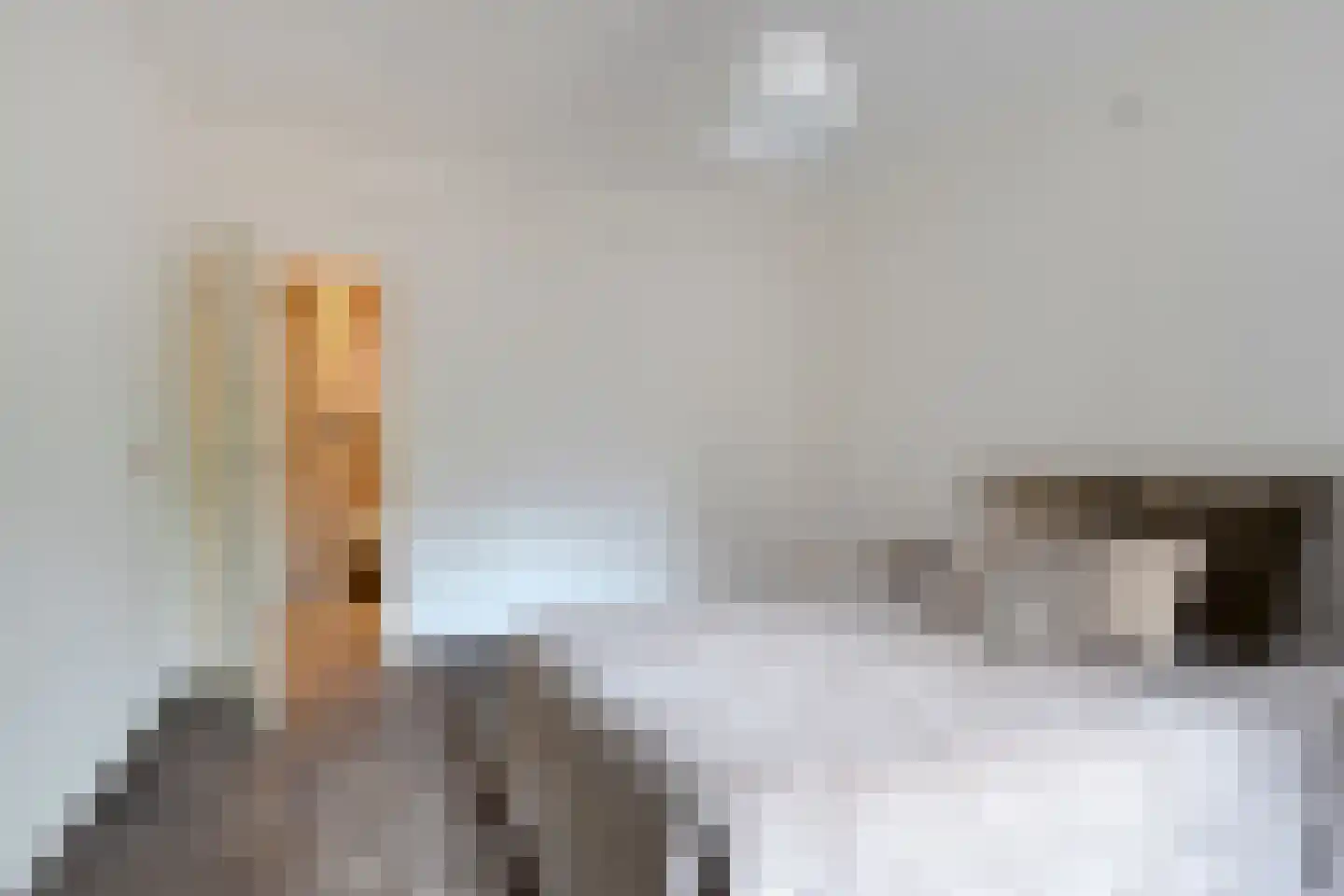 Deken van Miertstraat 21 Veghel thumbnail 29