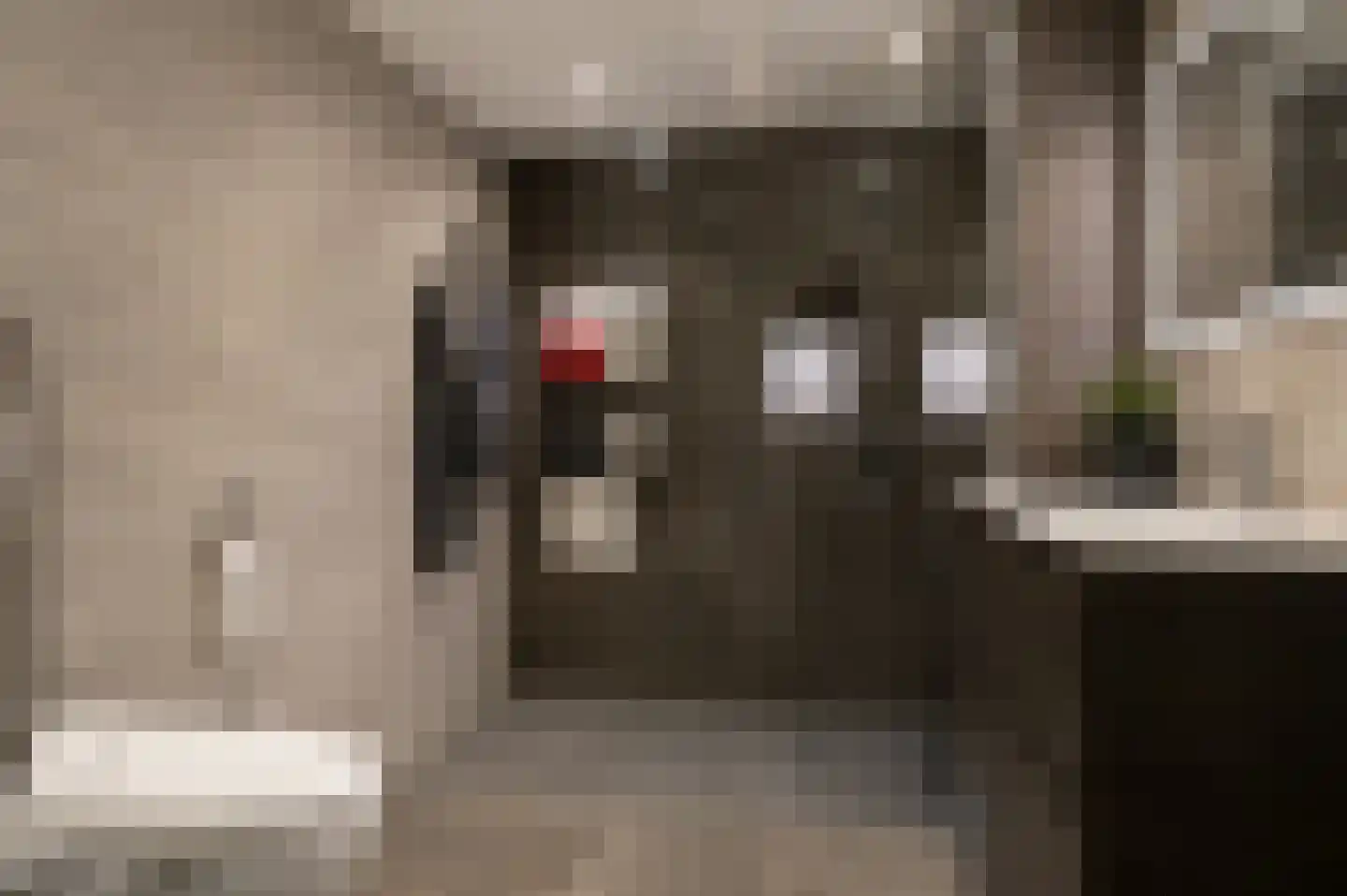 Deken van Miertstraat 21 Veghel thumbnail 30