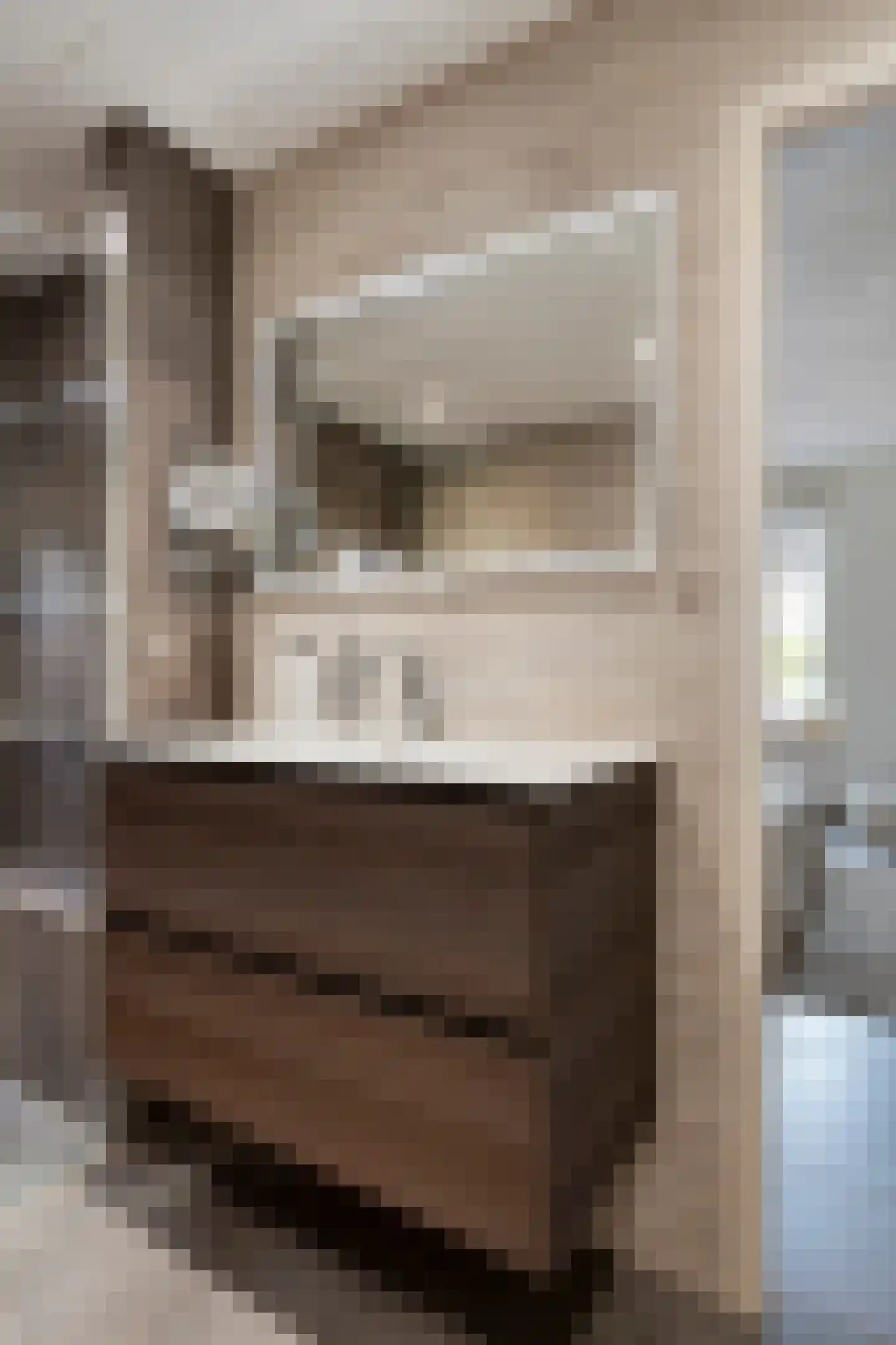 Deken van Miertstraat 21 Veghel thumbnail 31