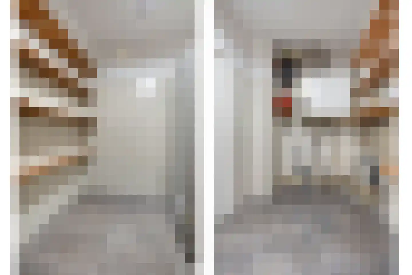 Deken van Miertstraat 21 Veghel thumbnail 32