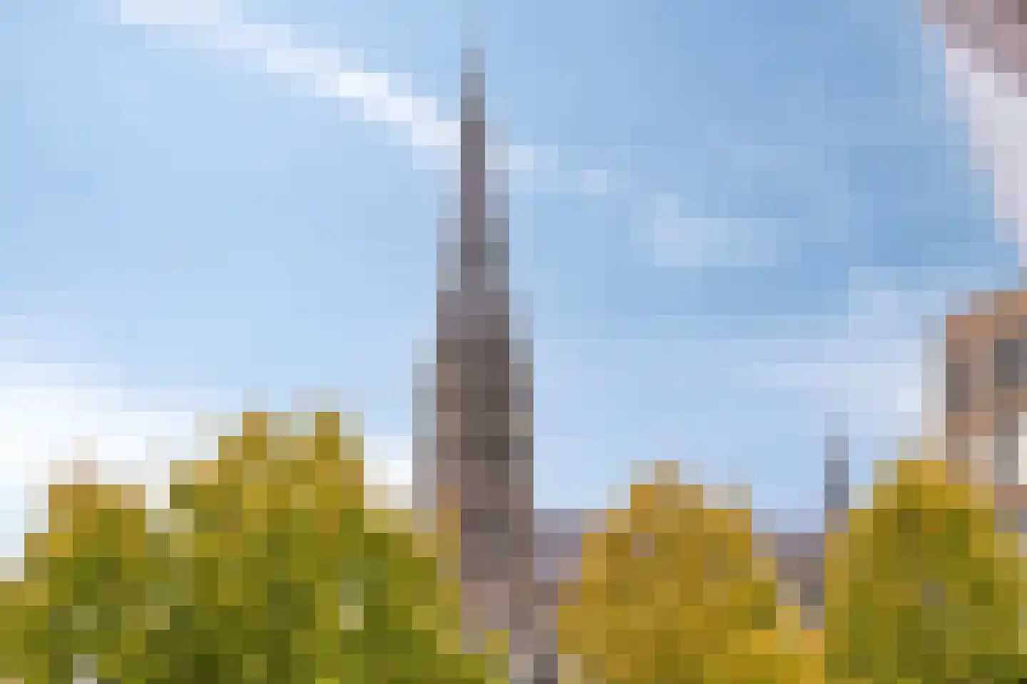 Deken van Miertstraat 21 Veghel thumbnail 33