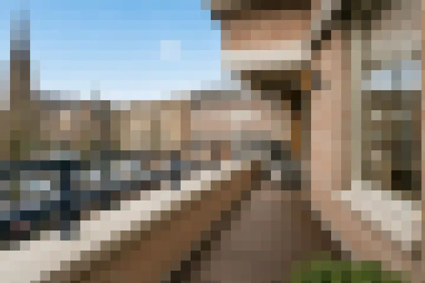 Deken van Miertstraat 21 Veghel thumbnail 4