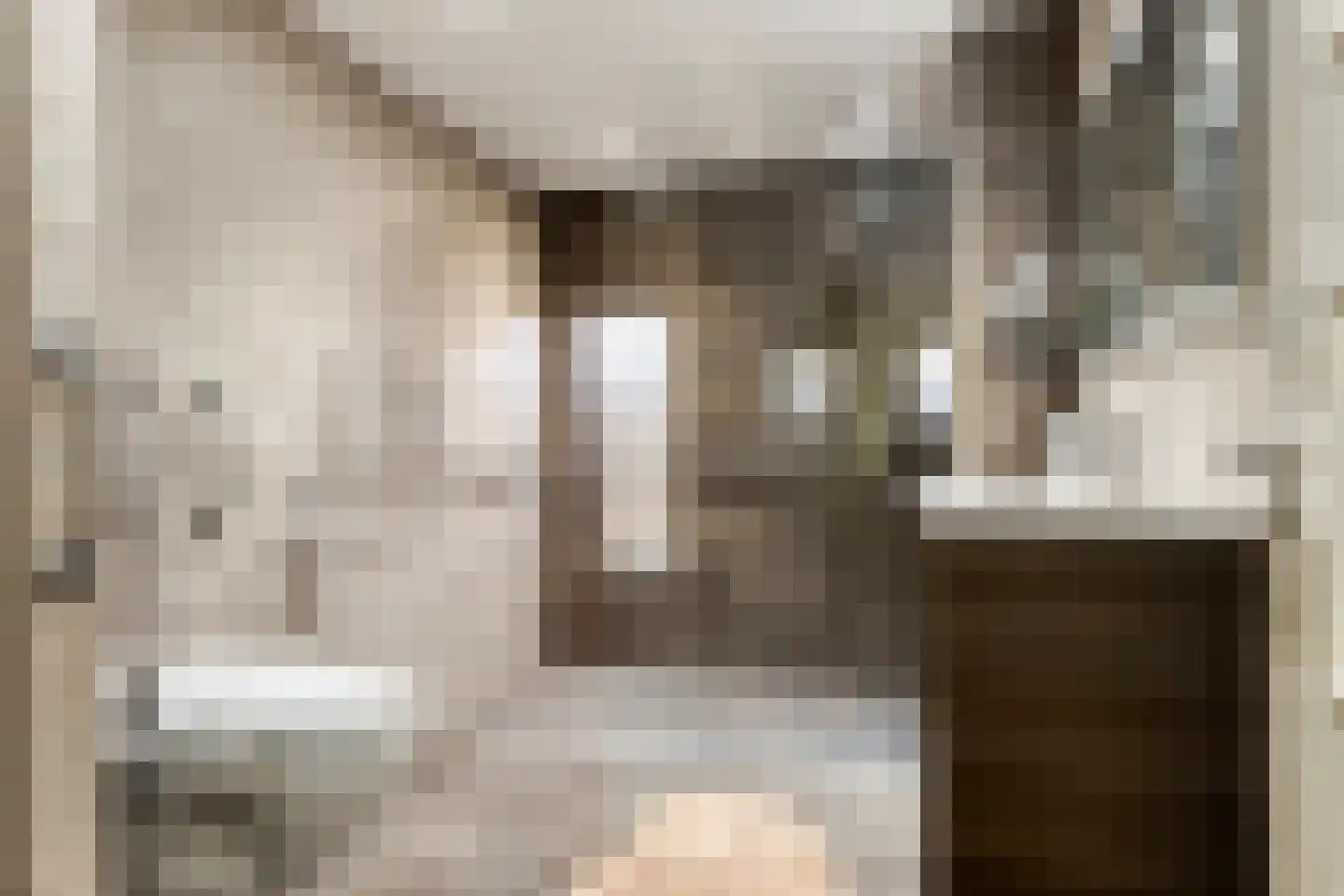Deken van Miertstraat 21 Veghel thumbnail 7