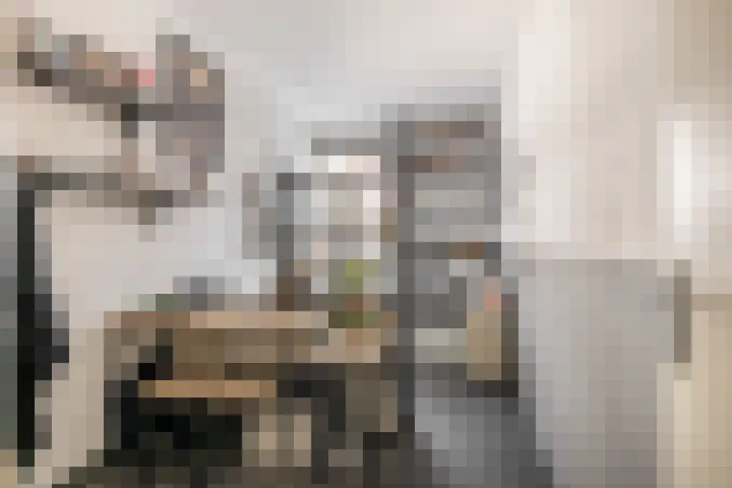 Deken van Miertstraat 23 Veghel thumbnail 21
