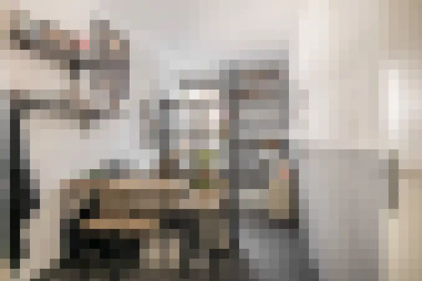 Deken van Miertstraat 23 Veghel thumbnail 22