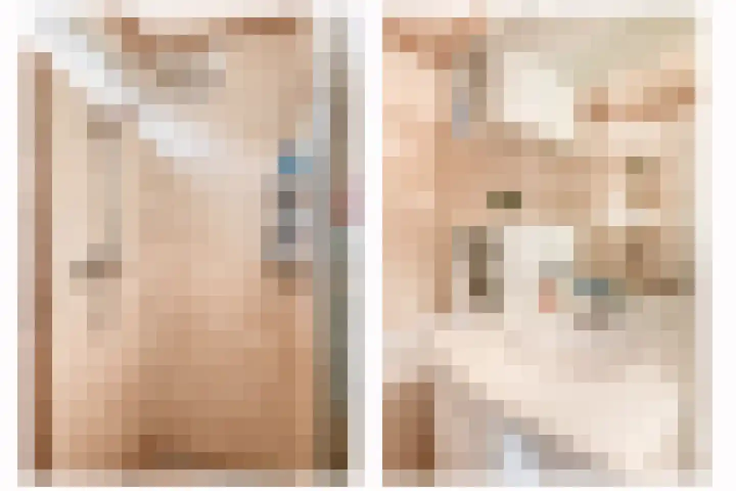 Deken van Miertstraat 23 Veghel thumbnail 23