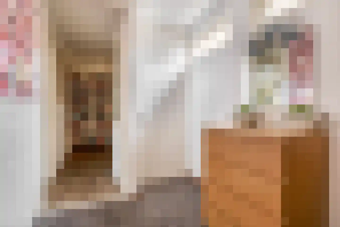 Deken van Miertstraat 23 Veghel thumbnail 24