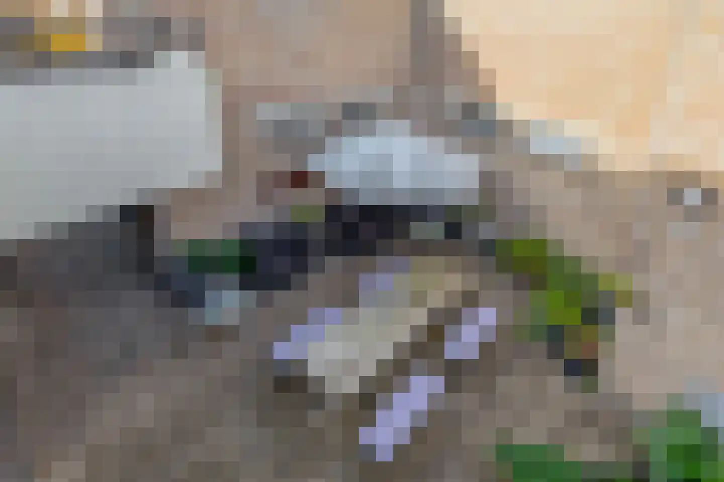 Deken van Miertstraat 23 Veghel thumbnail 28