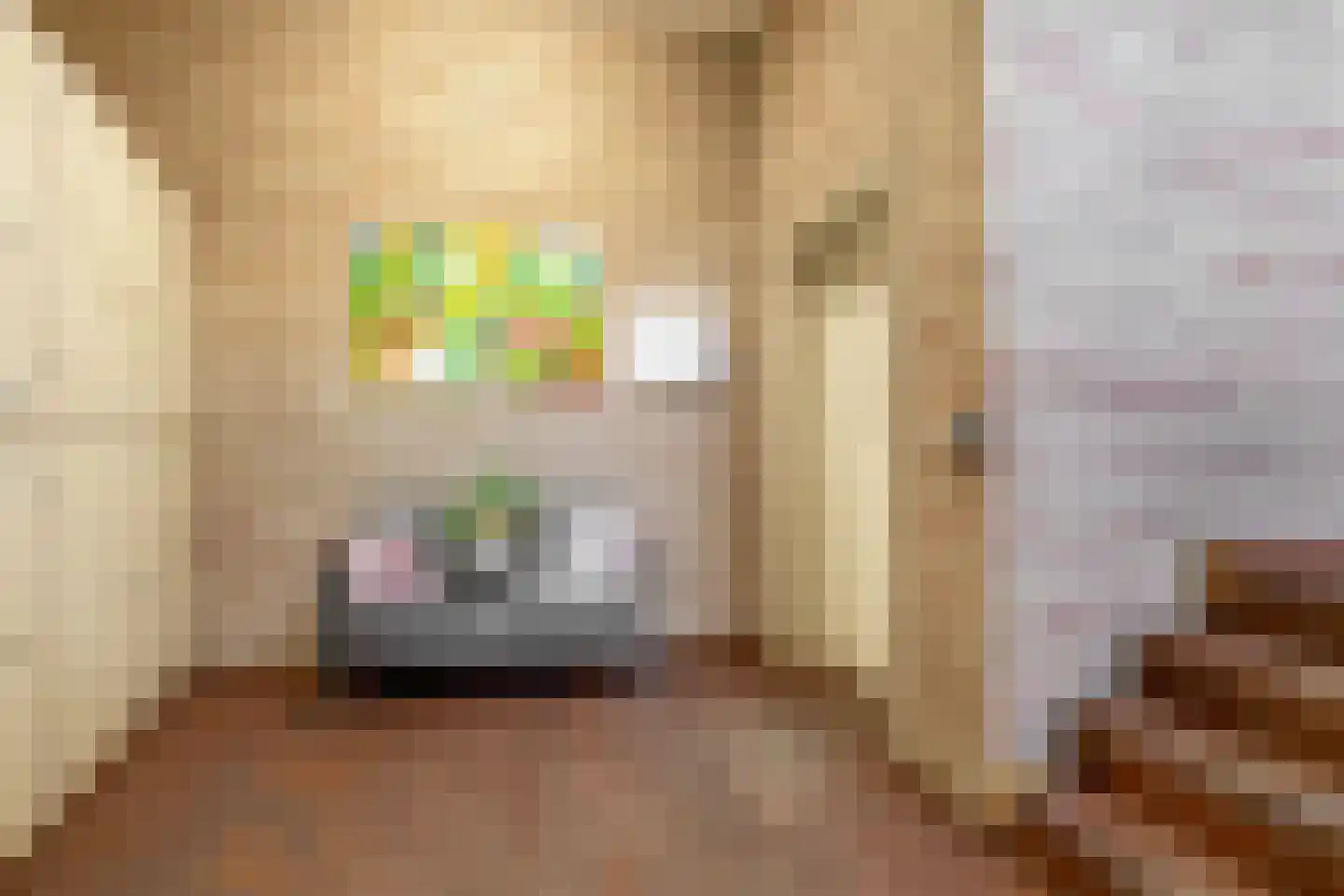 Deken van Miertstraat 23 Veghel thumbnail 29