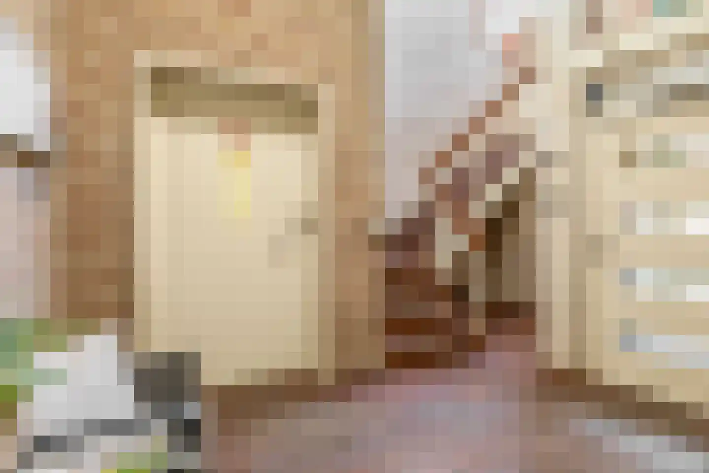 Deken van Miertstraat 23 Veghel thumbnail 30