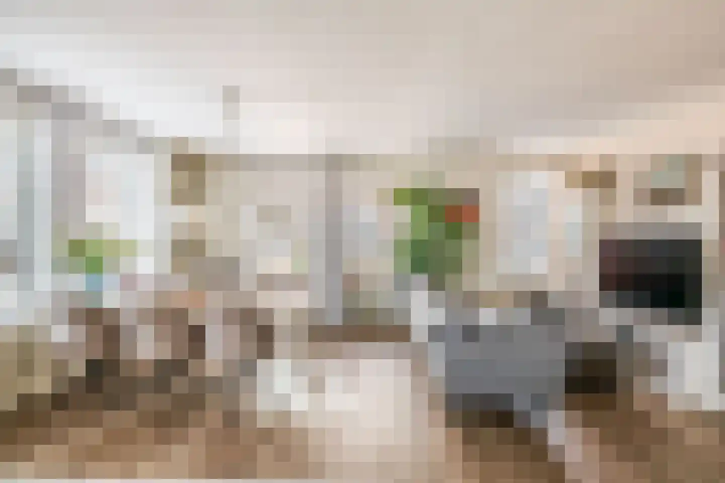 Deken van Miertstraat 23 Veghel thumbnail 4