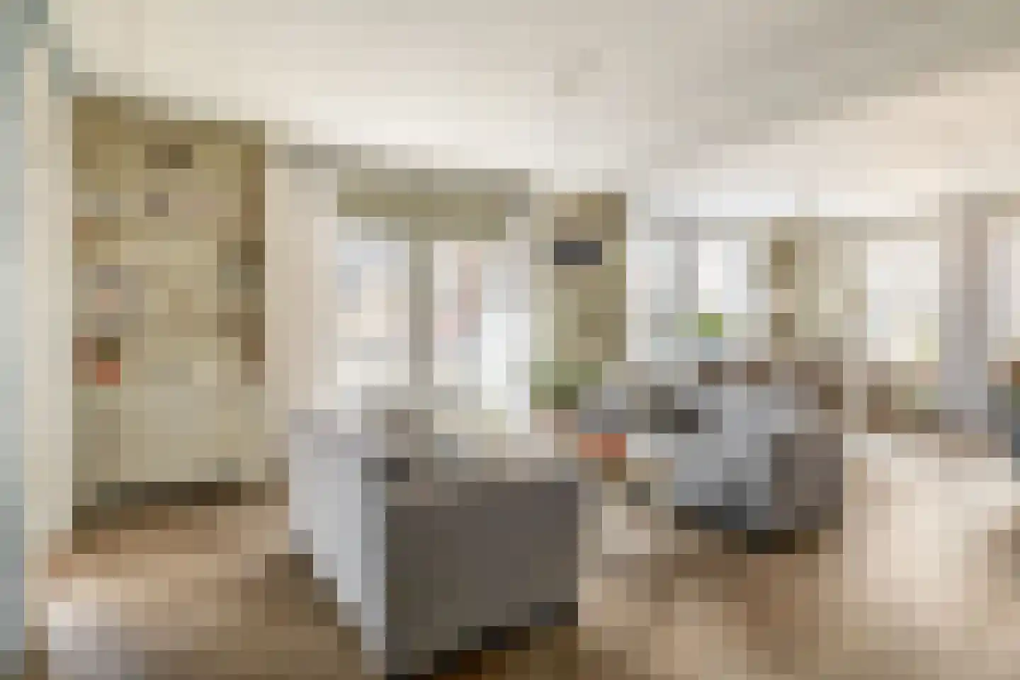 Deken van Miertstraat 23 Veghel thumbnail 8