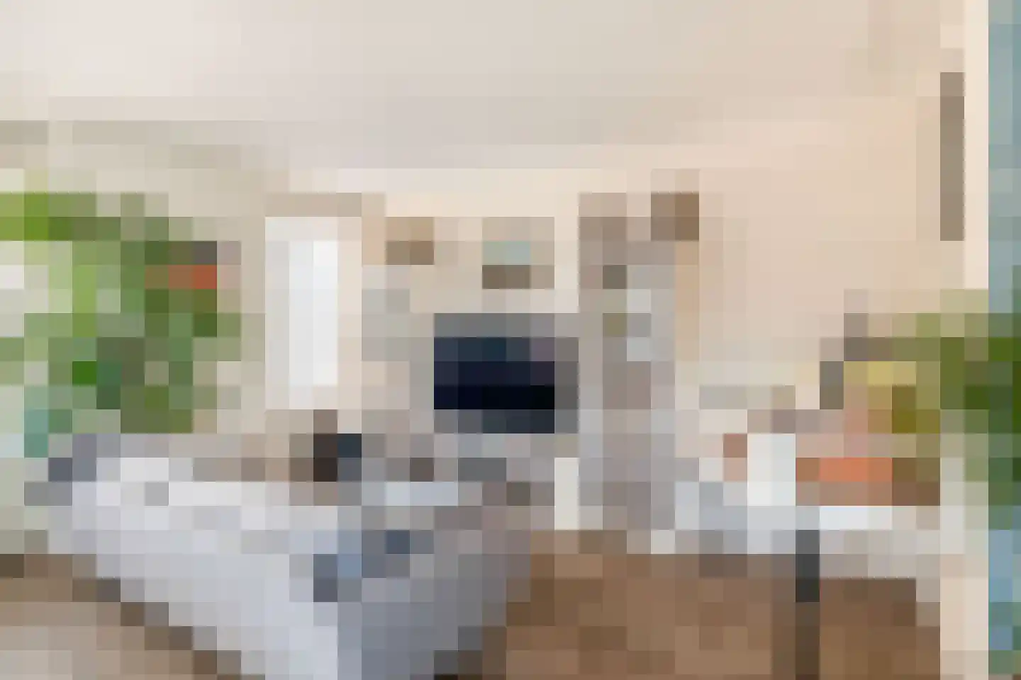 Deken van Miertstraat 23 Veghel thumbnail 9