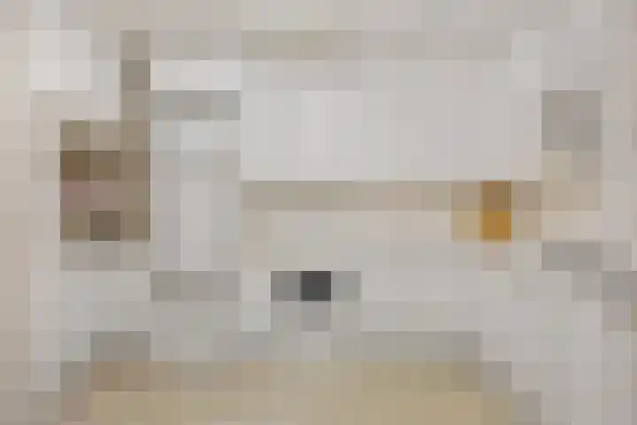 Deken van Miertstraat 7 Veghel thumbnail 16