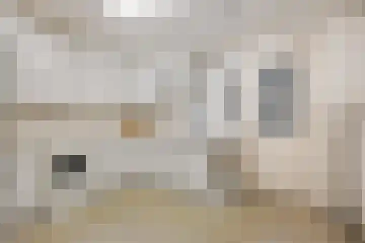 Deken van Miertstraat 7 Veghel thumbnail 17