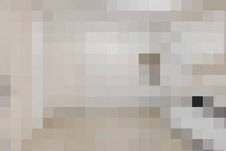 Deken van Miertstraat 7 Veghel thumbnail 19