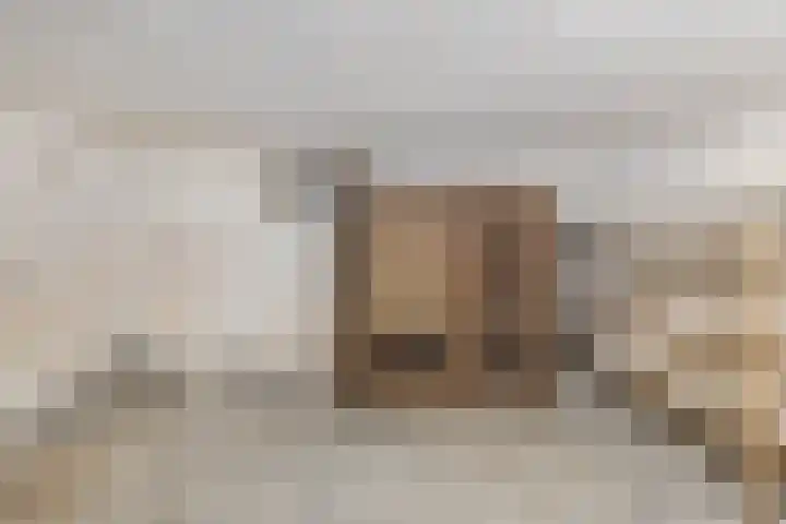 Deken van Miertstraat 7 Veghel thumbnail 20