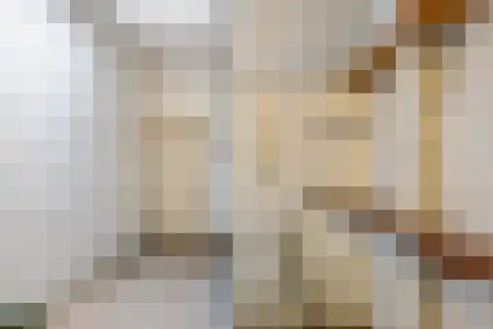Deken van Miertstraat 7 Veghel thumbnail 21