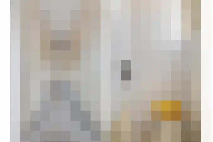 Deken van Miertstraat 7 Veghel thumbnail 23