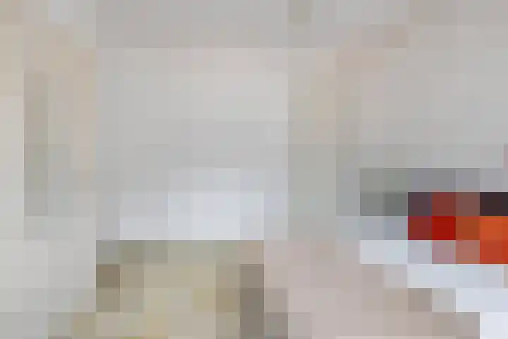 Deken van Miertstraat 7 Veghel thumbnail 25