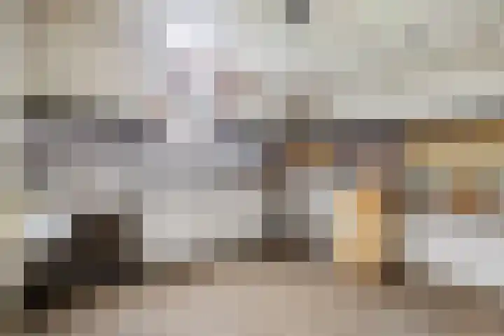 Deken van Miertstraat 7 Veghel thumbnail 36