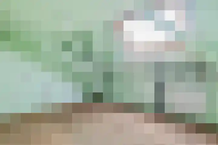 Deken van Miertstraat 7 Veghel thumbnail 37