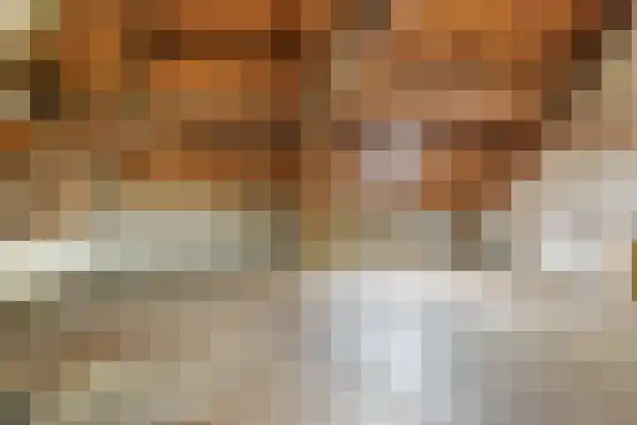 Deken van Miertstraat 7 Veghel thumbnail 38