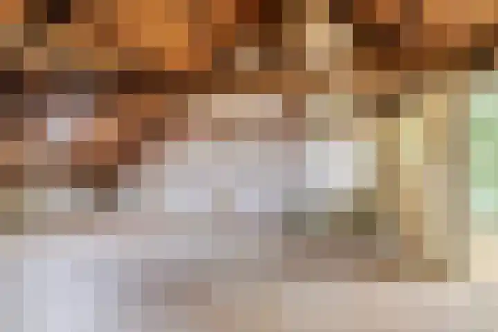 Deken van Miertstraat 7 Veghel thumbnail 39