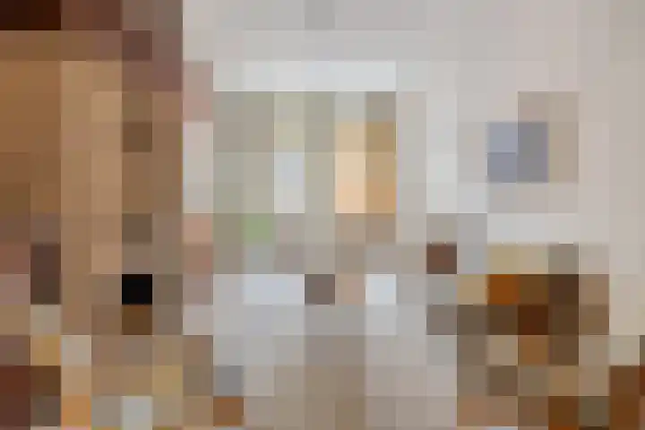 Deken van Miertstraat 7 Veghel thumbnail 4