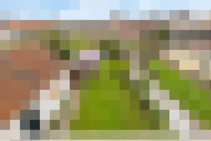 Deken van Miertstraat 7 Veghel thumbnail 40