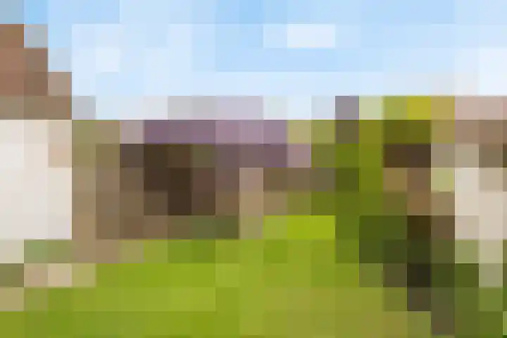 Deken van Miertstraat 7 Veghel thumbnail 42