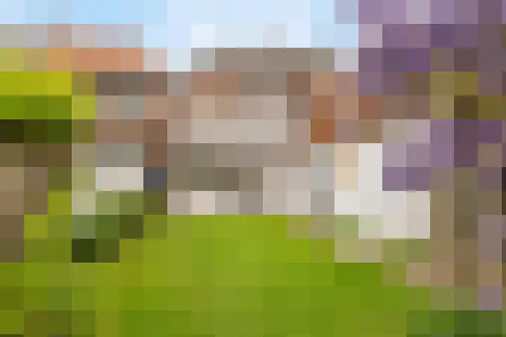 Deken van Miertstraat 7 Veghel thumbnail 43